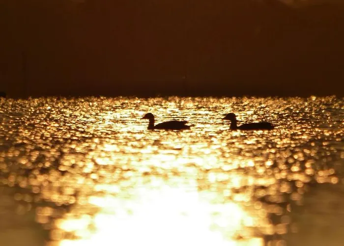 Båthotell Waterfront Loft